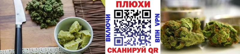 кракен Каменногорск Cannafood конопля