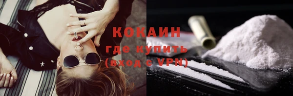 mdpv Каменногорск