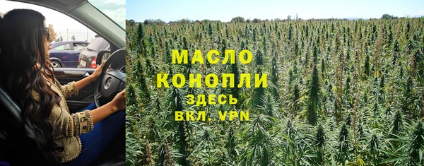 mdpv Каменногорск