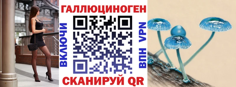 Галлюциногенные грибы Psilocybe  Каменногорск 